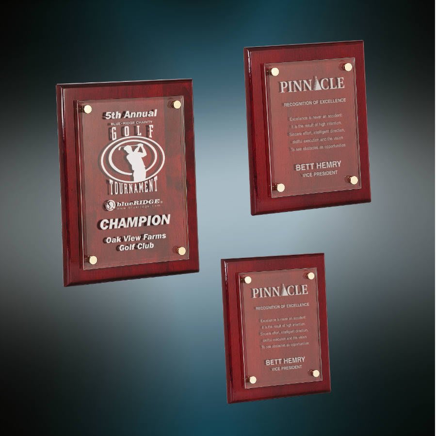 Piano Finish Floating Acrylic Plaque Corporate Award