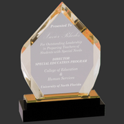 Academic award with engraved text on a clear background